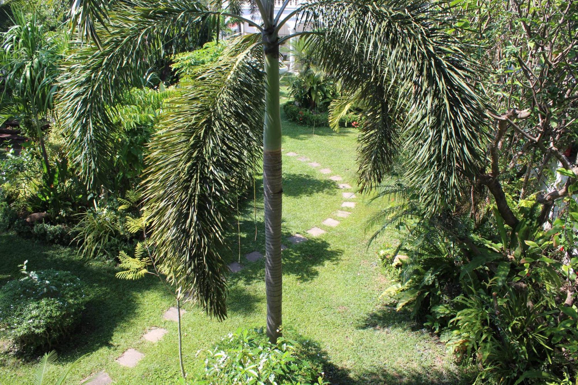 White Elephant Resort Surin Exterior photo